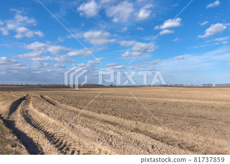 Traces of large agricultural machinery in a plowed field. The sky over the farmland. Agricultural landscape. 81737859