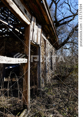 Ruins of an abandoned village house in the thickets. Old dilapidated house. 81737894