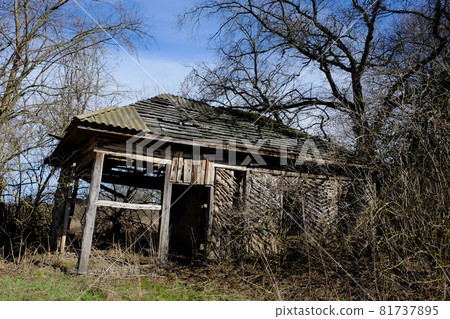 The ruins of an old abandoned village house among the trees. Landscape. An old abandoned house in the thicket. The ruins of an old abandoned village house among the trees. Landscape. An old abandoned house in the thicket. 81737895