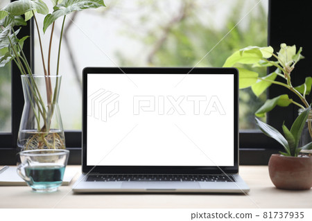 Laptop and Butterfly Pea flower tea and notebooks with plant pot on wooden desk 81737935