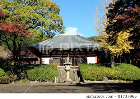 寬濟寺、大殿和秋葉 81737960