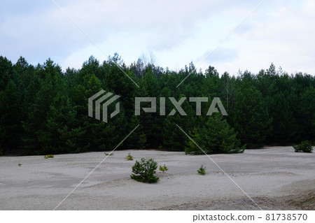 Cloudy sky over a coniferous forest. Sandy soil. Cloudy sky over a coniferous forest. Sandy soil. 81738570