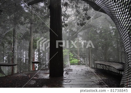 Tree House/Osamu Ishiyama 81738845