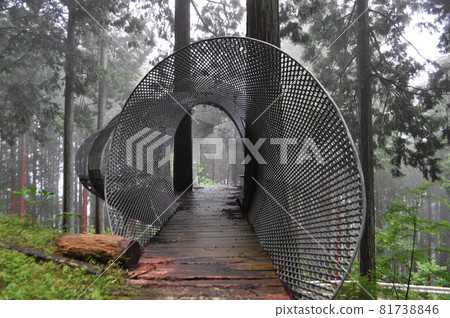 樹屋/石山周武 樹屋/石山周武 81738846