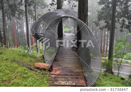 Tree House/Osamu Ishiyama 81738847