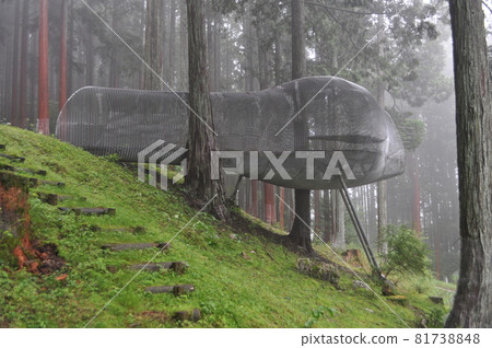 樹屋/石山周武 樹屋/石山周武 81738848