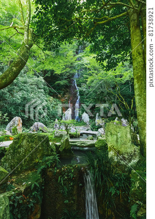 Summer at Mitakiji Temple, Ninotaki and Bononotaki Waterfalls (Hiroshima City, Hiroshima Prefecture) 81738921
