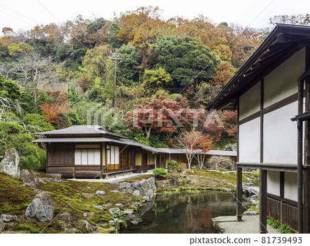 Autumn leaves at Kaizoji Temple Garden in Kamakura 81739493