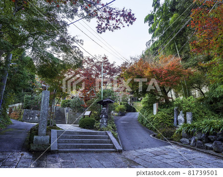 鎌倉/ Kurakuraji秋葉 81739501