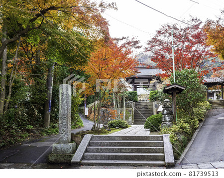 鎌倉/ Kurakuraji秋葉 81739513