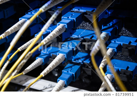 Concept image of optical communication and data center 81739951