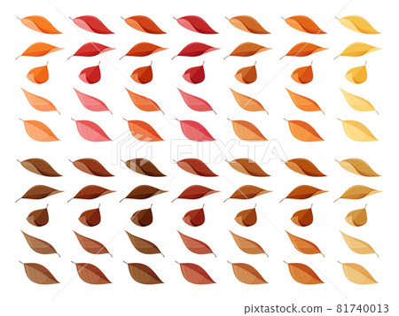 Illustration material set of fallen leaves _ autumn leaves and dead leaves _ ordinary leaves 81740013