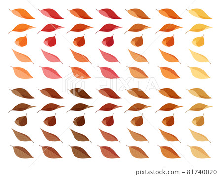 Illustration material set of fallen leaves _ autumn leaves and dead leaves _ ordinary leaves _ flat 81740020