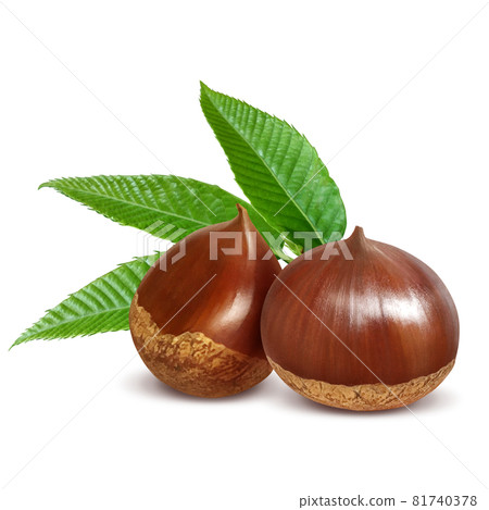 帶葉影的栗栗圖實景 帶葉影的栗栗圖實景 81740378