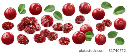 Fresh and dried ranberry set isolated on white background Fresh and dried ranberry set isolated on white background 81740752