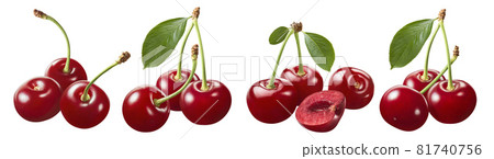 Wild cherry set isolated on white background 81740756