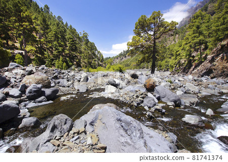 Taburiente River, Caldera de Taburiente National Park, Canary Islands, Spain 81741374