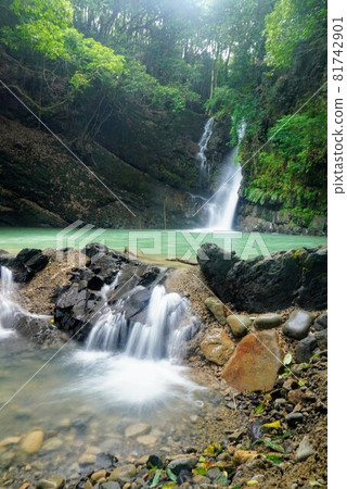 香魚返瀑布④[香川縣三豐市太田町] 81742901