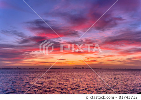 浦安三番瀨的黎明 81743712