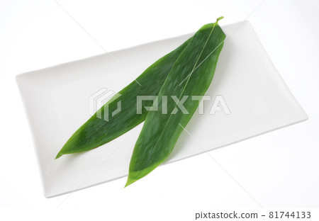 竹葉 81744133