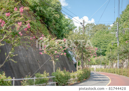 Kaminakazato, Kita-ku, Tokyo 81744428