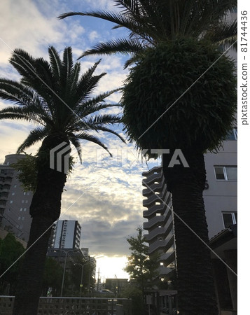 It's the beginning of a new day when the sky is slowly turning blue. It's the beginning of a new day when the sky is slowly turning blue. 81744436