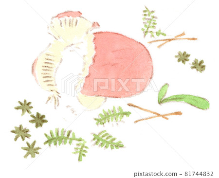Watercolor illustration of a bitten red mushroom (russula arbutus) in autumn countryside Watercolor illustration of a bitten red mushroom (russula arbutus) in autumn countryside 81744832