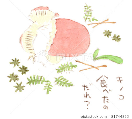 Watercolor illustration of a bitten red mushroom (russula arbutus) in autumn countryside Watercolor illustration of a bitten red mushroom (russula arbutus) in autumn countryside 81744833