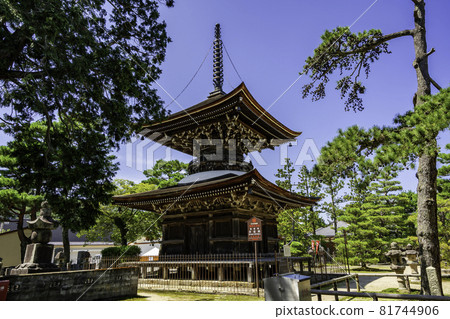 京都府宮津市天橋立知恩寺太保戶 81744906