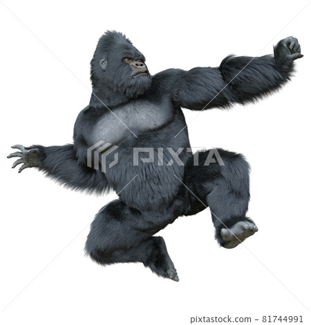 Black silver gorilla 3d illustration isolated on white Black silver gorilla 3d illustration isolated on white 81744991