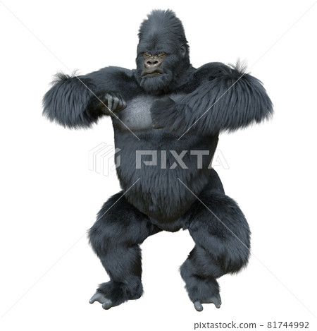 Black silver gorilla 3d illustration isolated on white 81744992