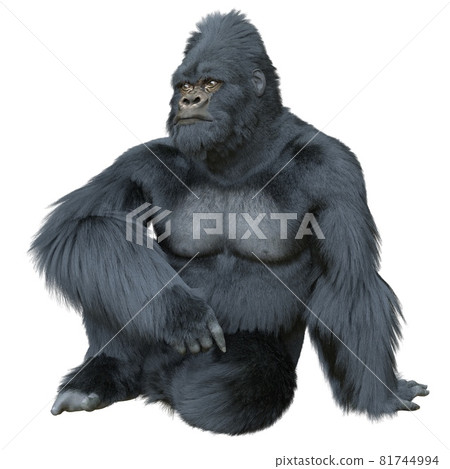 Black silver gorilla 3d illustration isolated on white Black silver gorilla 3d illustration isolated on white 81744994