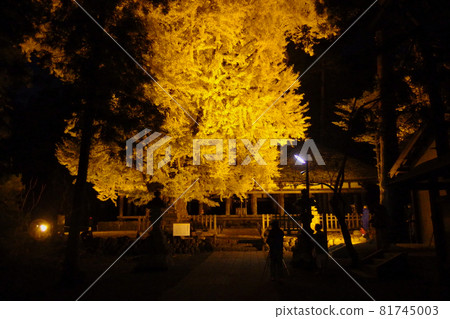 喜多方市新宮熊野神社長樓 喜多方市新宮熊野神社長樓 81745003