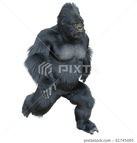 Black silver gorilla 3d illustration isolated on white Black silver gorilla 3d illustration isolated on white 81745005