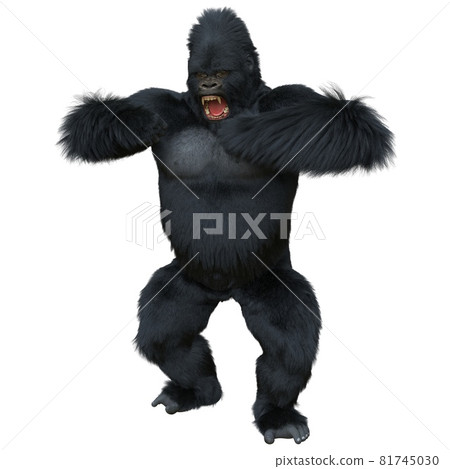 Black silver gorilla 3d illustration isolated on white 81745030