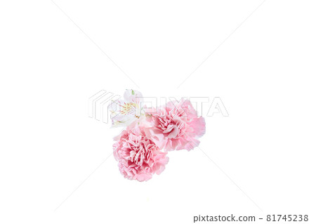 花束康乃馨花禮物感謝你常年 花束康乃馨花禮物感謝你常年 81745238