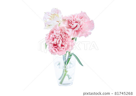 花束康乃馨花禮物感謝你常年 花束康乃馨花禮物感謝你常年 81745268