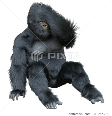 Black silver gorilla 3d illustration isolated on white 81745280