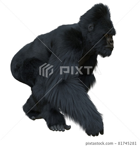 Black silver gorilla 3d illustration isolated on white Black silver gorilla 3d illustration isolated on white 81745281