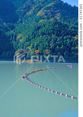 Kanna Lake Shimokubo Dam Autumn scenery Autumn leaves season 81745365