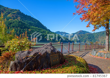 神奈湖下久保水壩 秋景 紅葉季節 81745367