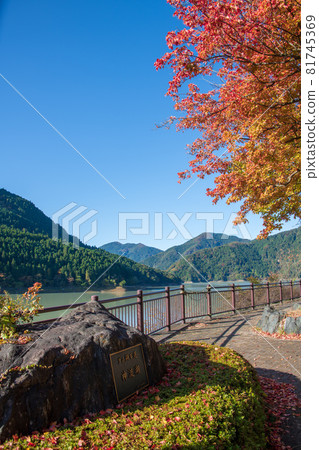 Kanna Lake Shimokubo Dam Autumn scenery Autumn leaves season 81745369