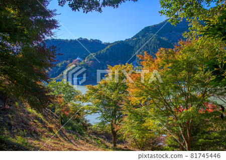 Scenery from the vicinity of the Kanna Lake Shimokubo Dam observatory Autumn scenery Autumn leaves season 81745446