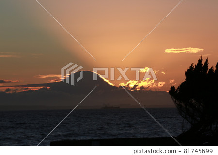 我沿著和田海岸散步 我沿著和田海岸散步 81745699