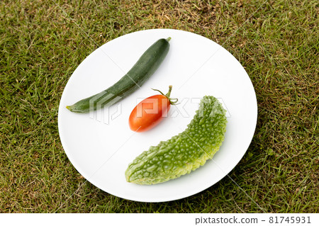 夏季蔬菜:黃瓜、番茄、苦瓜 夏季蔬菜:黃瓜、番茄、苦瓜 81745931