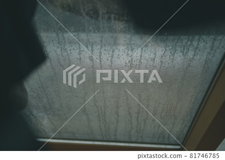 rain, rainy, window 81746785