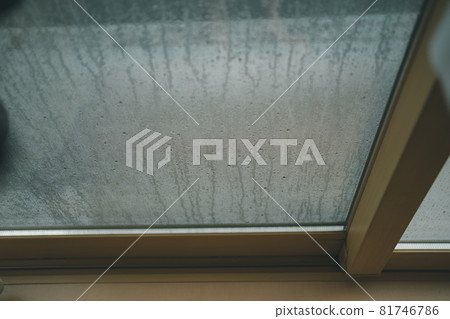 rain, rainy, window 81746786