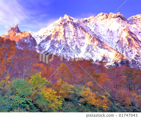 Autumn Ichinokurazawa (Minakami, Gunma Prefecture) 81747043