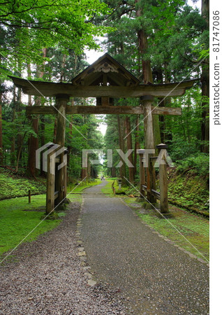 白山平泉寺第二鳥居 白山平泉寺第二鳥居 81747086