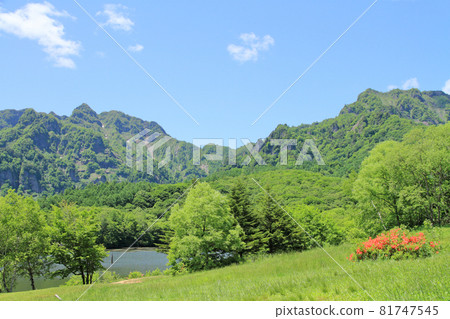 Togakushi Kogen Early Summer Kagamiike 81747545